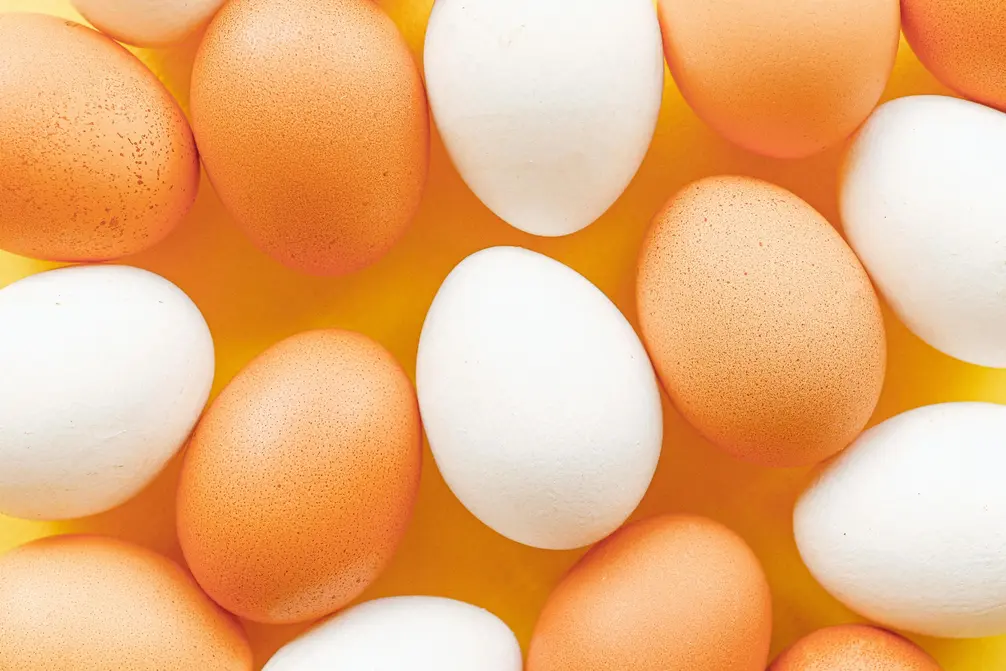 Daily egg rate updates